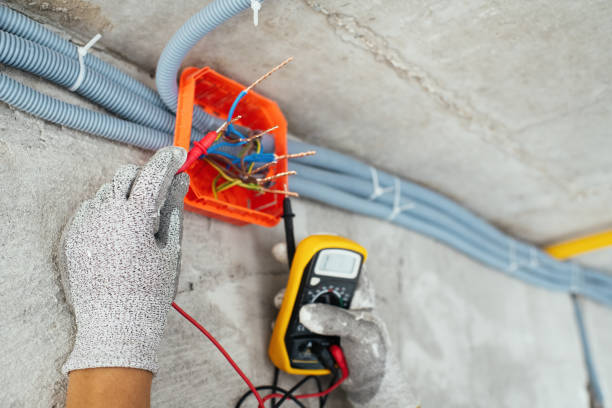 Best Electric Panel Repair  in Nesquehoning, PA